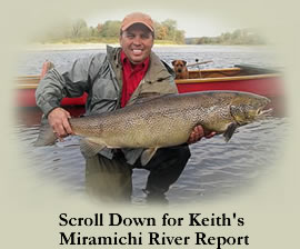 Miramichi Atlantic Salmon Fishing