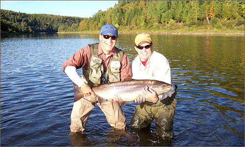 Miramichi Atlantic Salmon