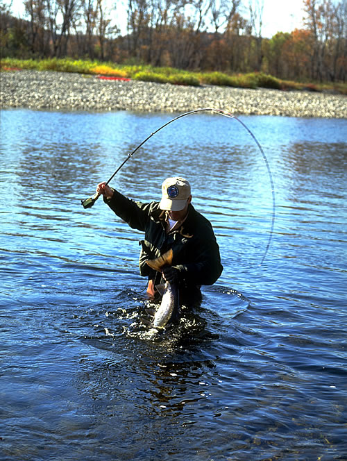 Atlantic Salmon Fishing