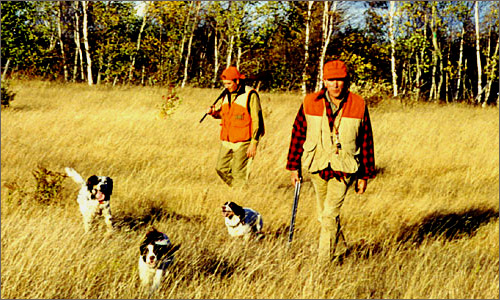 Upland Bird Hunting